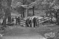 president roosevelt lord grey-057